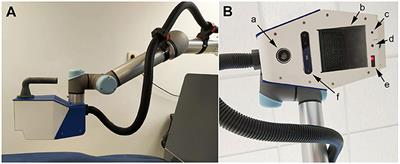 Using a Robot to Treat Non-specific Low Back Pain: Results From a Two-Arm, Single-Blinded, Randomized Controlled Trial